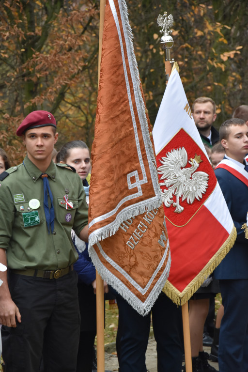 Koźmin Wlkp. Odsłonięcie pomnika - Zdjęcie główne