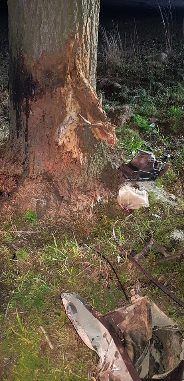 Wypadek w Polskich Olędrach - Zdjęcie główne