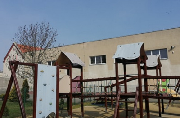 Koźmin Wlkp. Odmalowali klasy i posadzili nową zieleń [FOTO] - Zdjęcie główne
