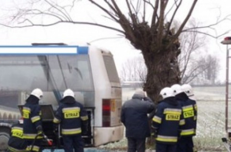 Krotoszyn: Pożar autobusu w Benicach - Zdjęcie główne