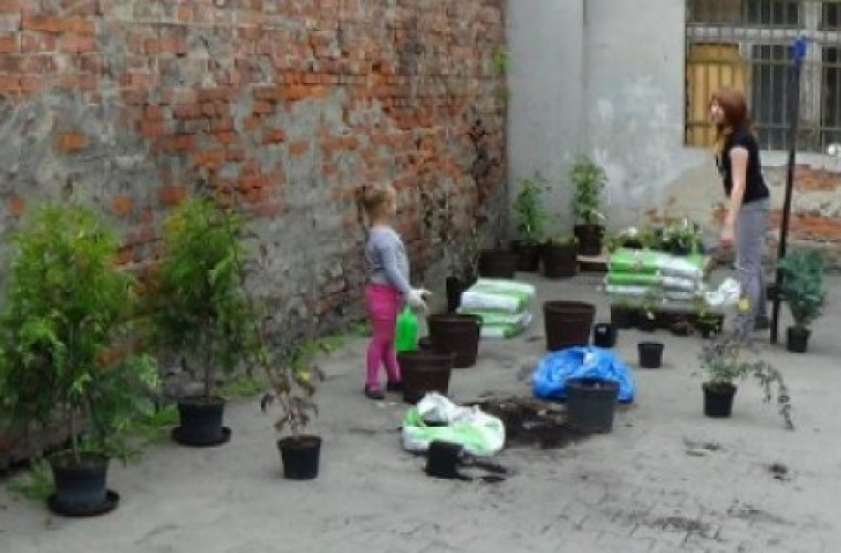 Krotoszyn: Odnowią zaniedbane podwórka i skwery - Zdjęcie główne