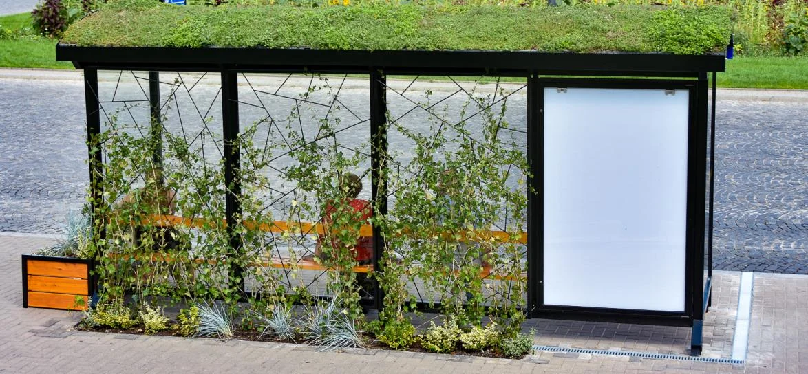 Krotoszyn. Przystanki autobusowe będą pełne kwiatów i roślin - Zdjęcie główne