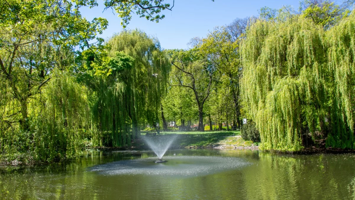 Jeszcze cieplej i bez deszczu. Środa przyniesie prawdziwy powiew lata