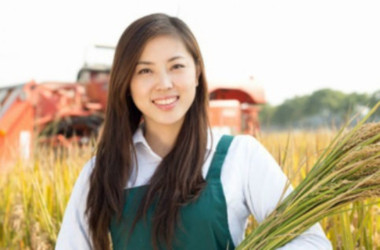 Mąką zamiast ryżu - Zdjęcie główne