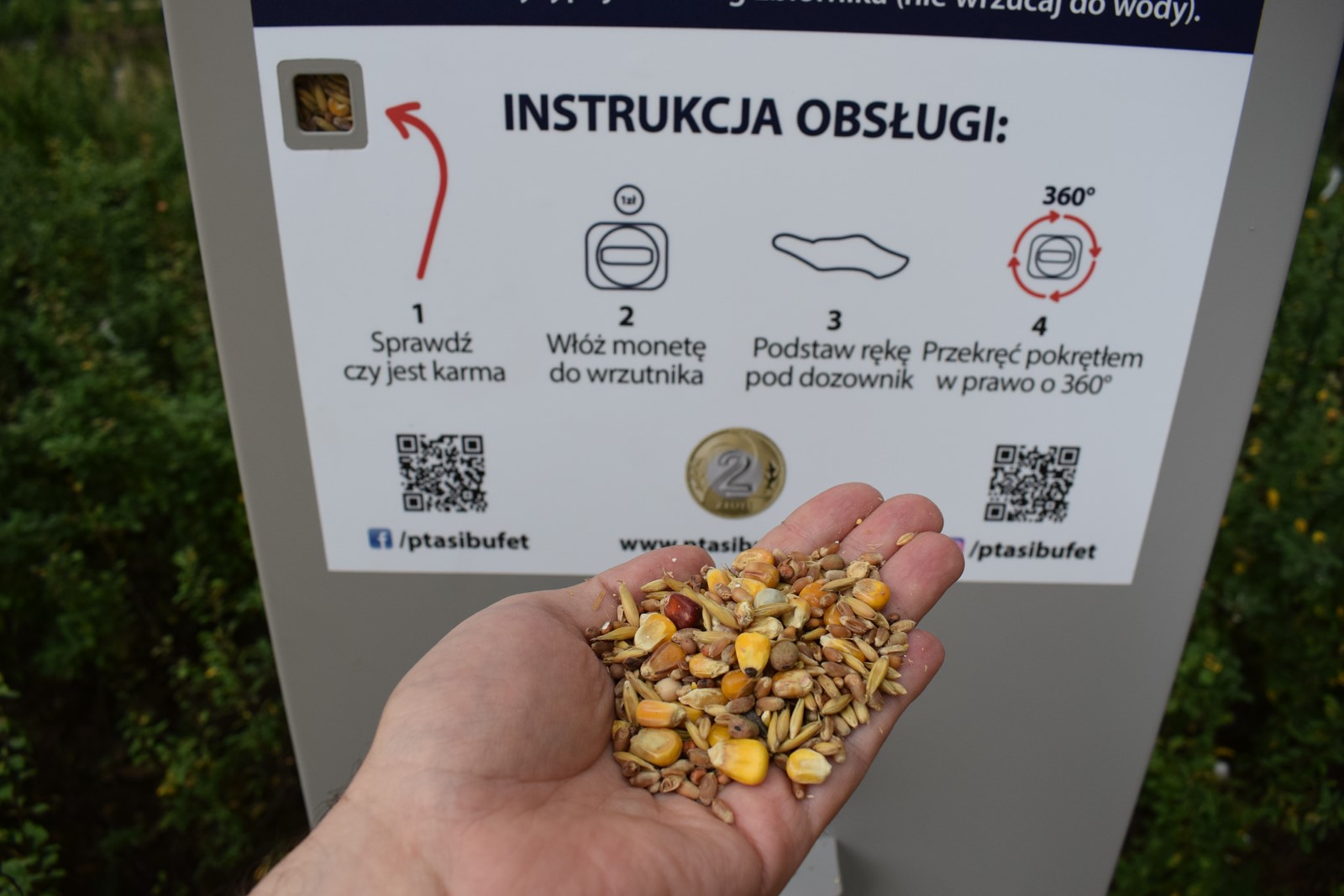 Krotoszyn. Automat z karmą dla ptaków w parku - Zdjęcie główne