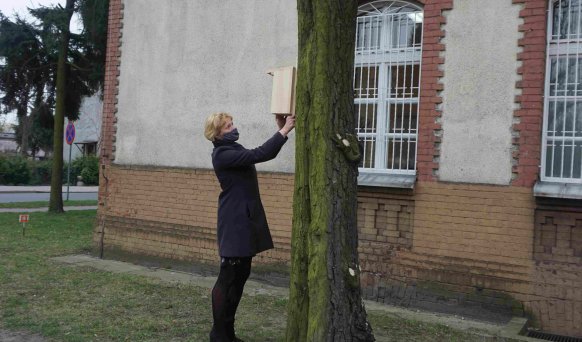 Powiat krotoszyński. Powiesili budki dla ptaków i nietoperzy