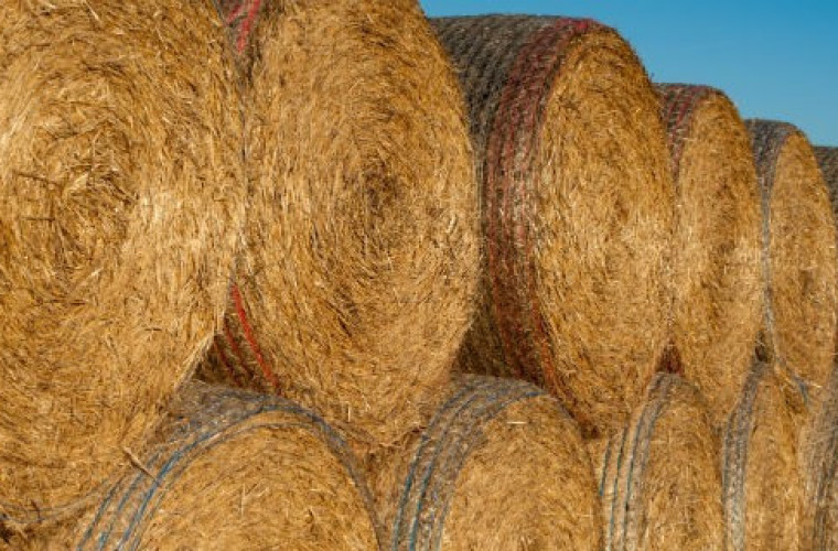 Ile kosztuje słoma? - Zdjęcie główne