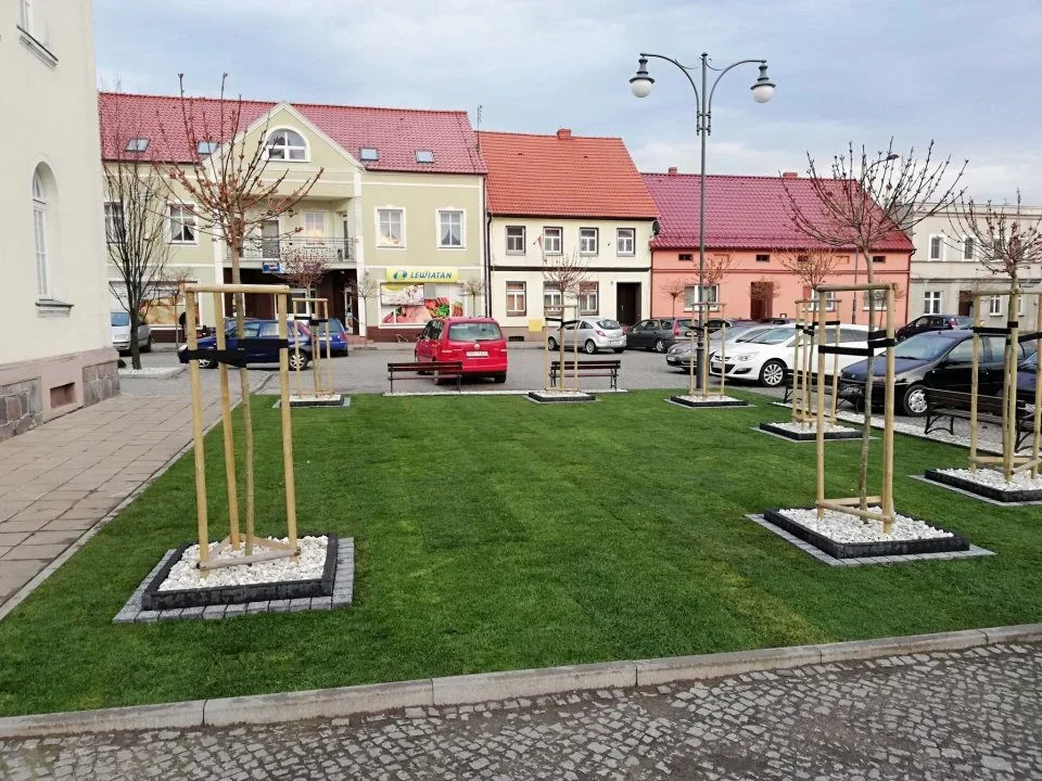 Gmina Kobylin. Ile dzieci się urodziło? Ile osób zmarło? Jakie imiona nadawano dzieciom? - Zdjęcie główne