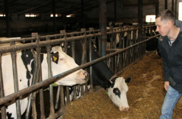 Wzruszająca historia o szybkim dorastaniu na wsi  - Zdjęcie główne