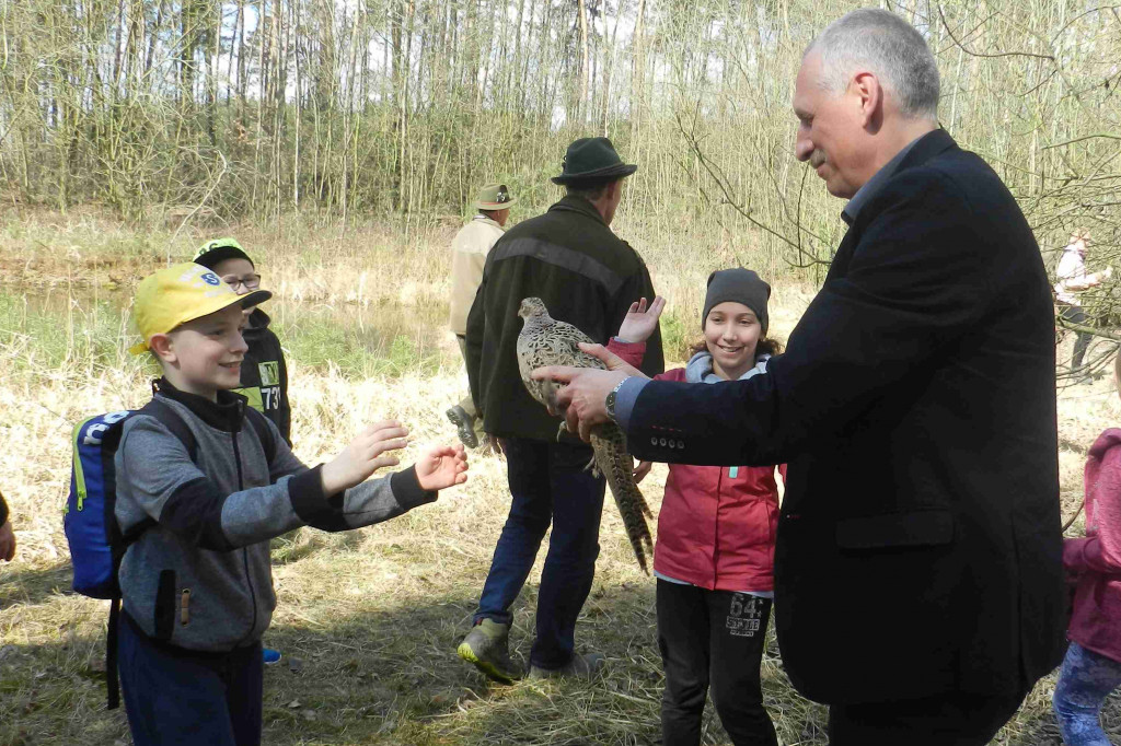 Akcja zasiedlania łowisk bażantami - Zdjęcie główne