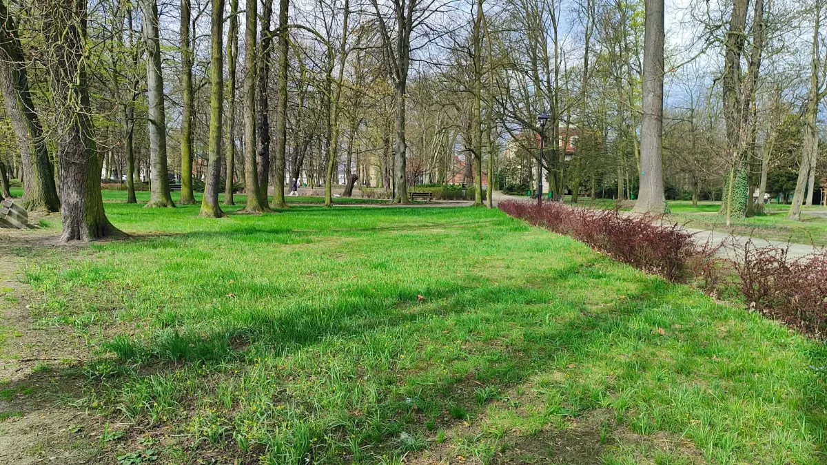 Dzień dobry Krotoszyn. Wielki Piątek przyniesie ciszę, refleksję i zmienną pogodę
