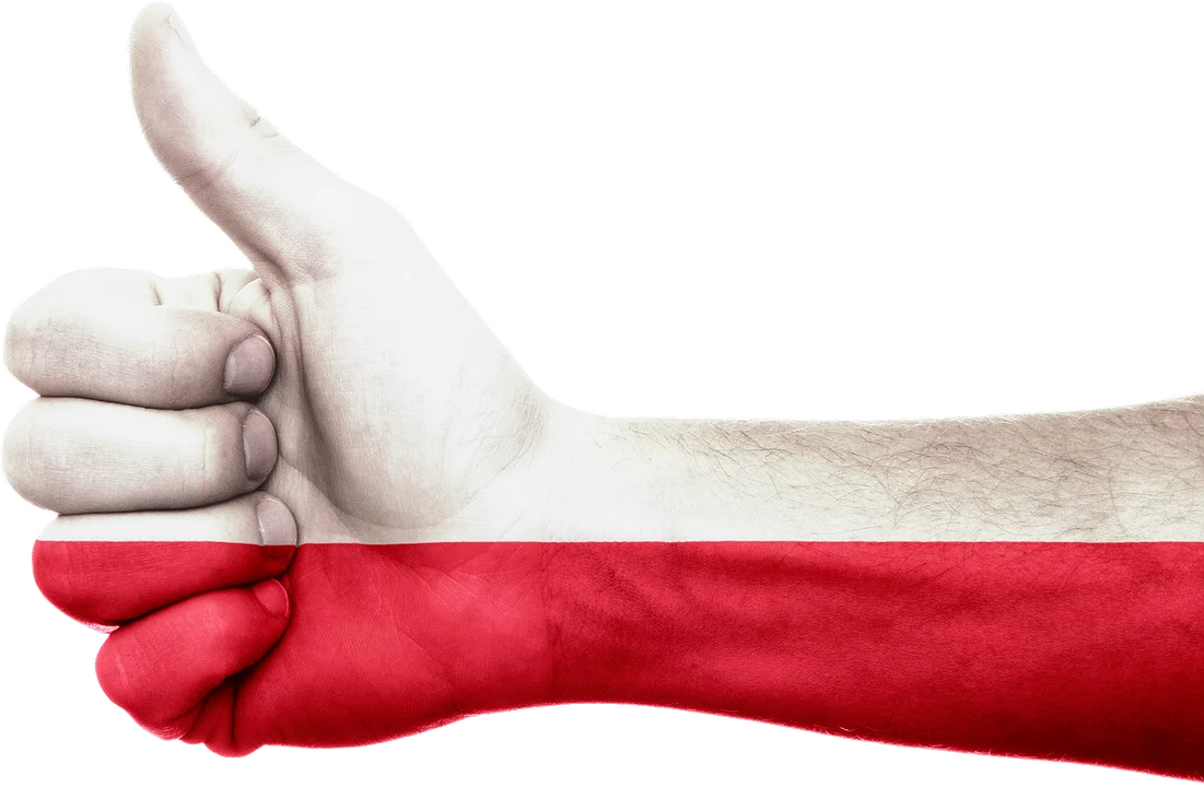 Teksty pieśni patriotycznych na wspólne śpiewanie w Koźminie   - Zdjęcie główne