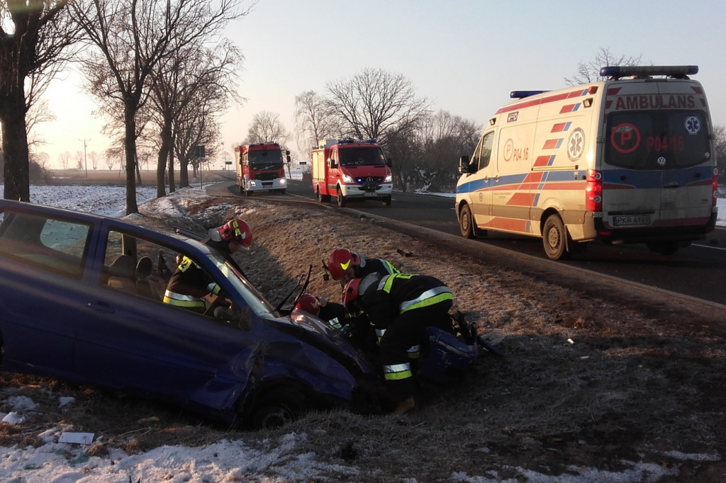 Wygoda. Chciała ominąć sarnę, wjechała do rowu - Zdjęcie główne