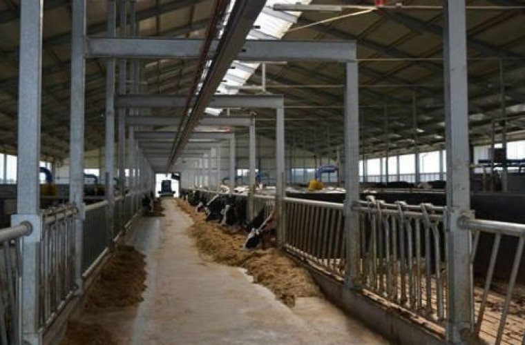 Jeśli chcesz zarabiać na bydle- nie bagatelizuj tych spraw! - Zdjęcie główne