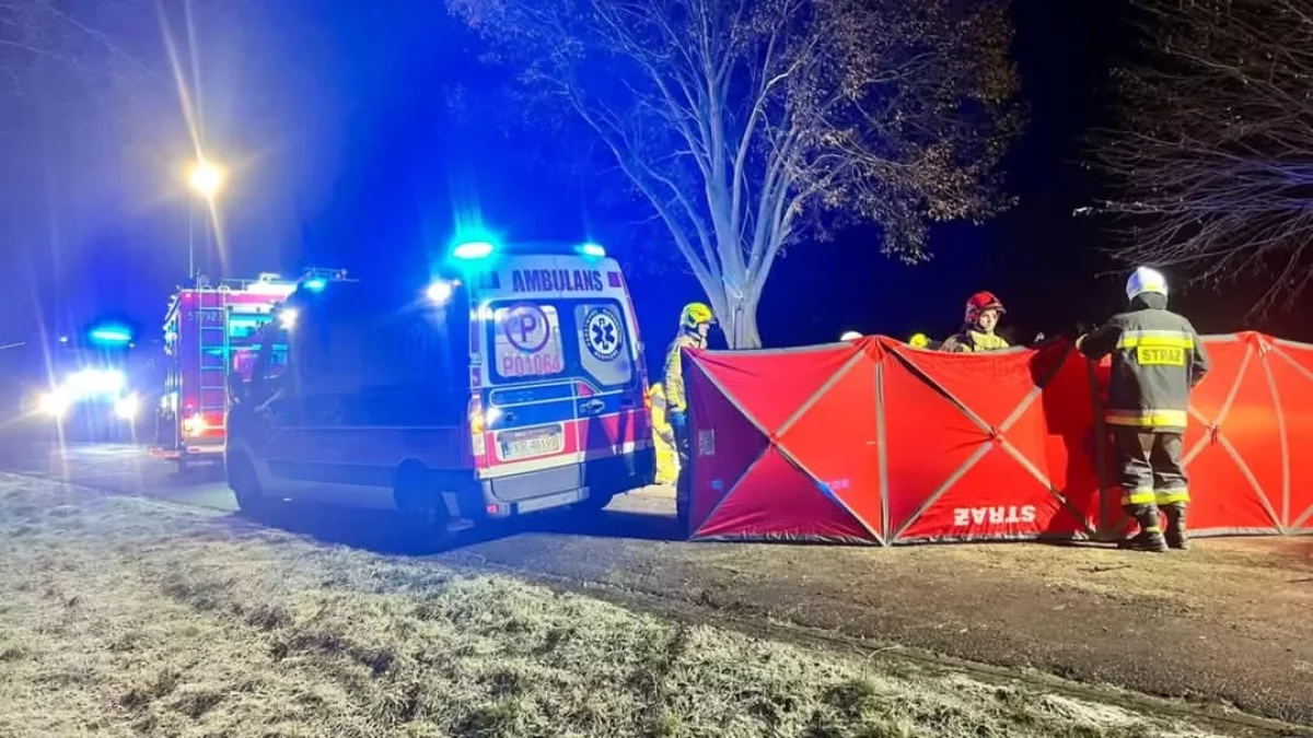 Tragiczny wypadek w sąsiednim powiecie. Nie żyje nastolatek - Zdjęcie główne