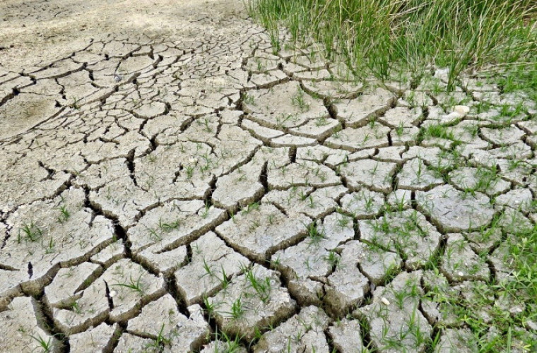 Zmiany w zasadach szacowania szkód spowodowanych suszą - Zdjęcie główne