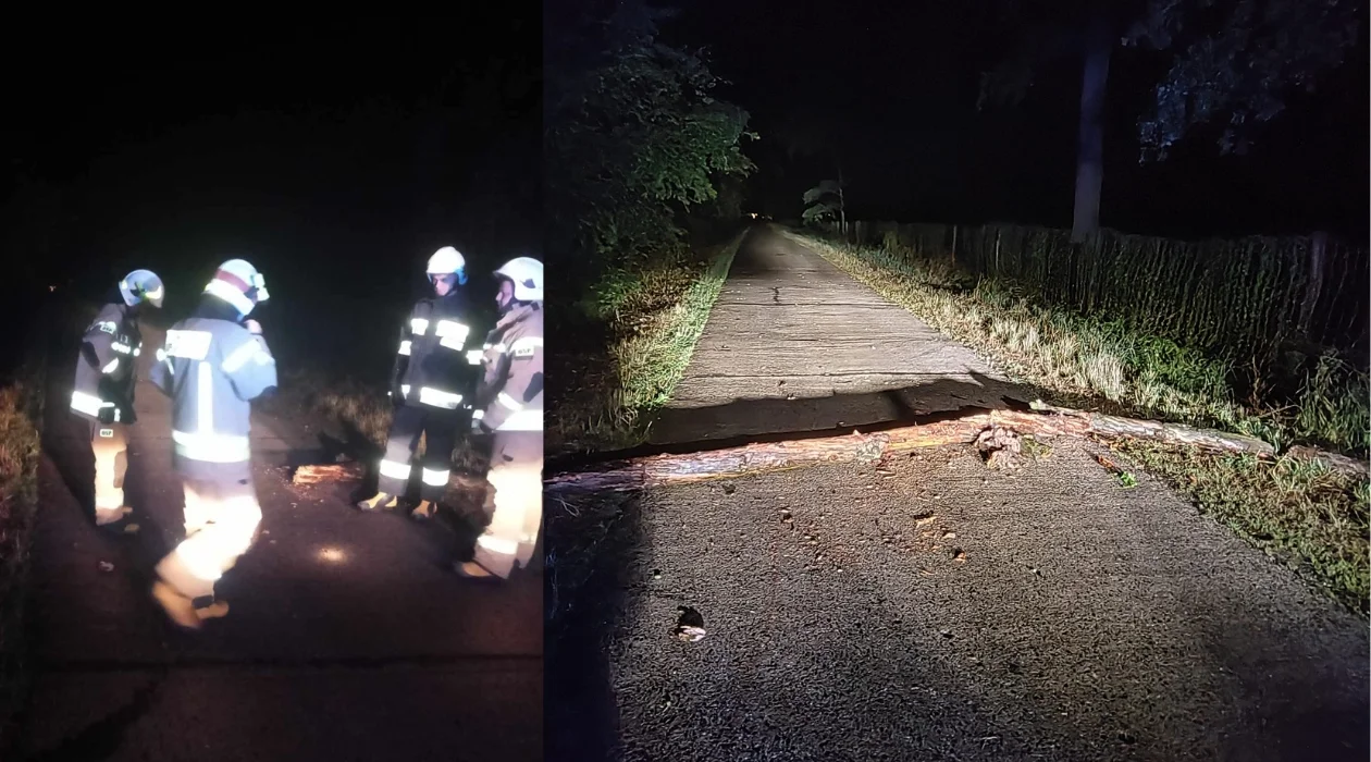 Burza w powiecie krotoszyńskim. Powalone drzewa, zniszczone samochody - Zdjęcie główne