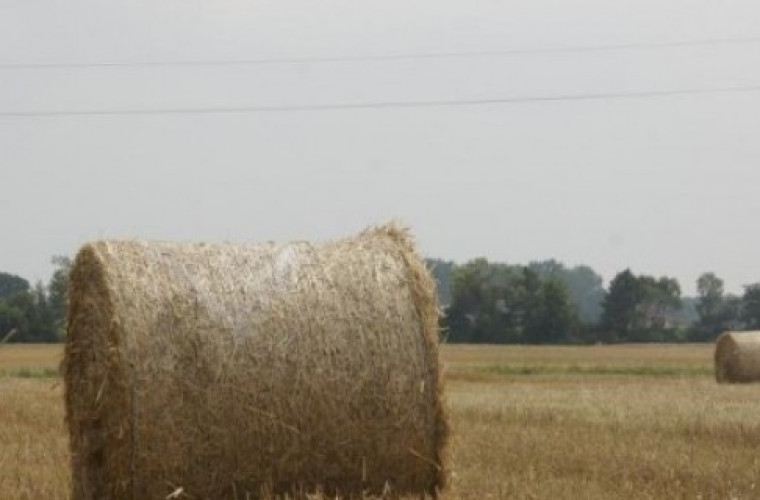 Matka i syn skradli baloty o wartości 2 tys. zł - Zdjęcie główne