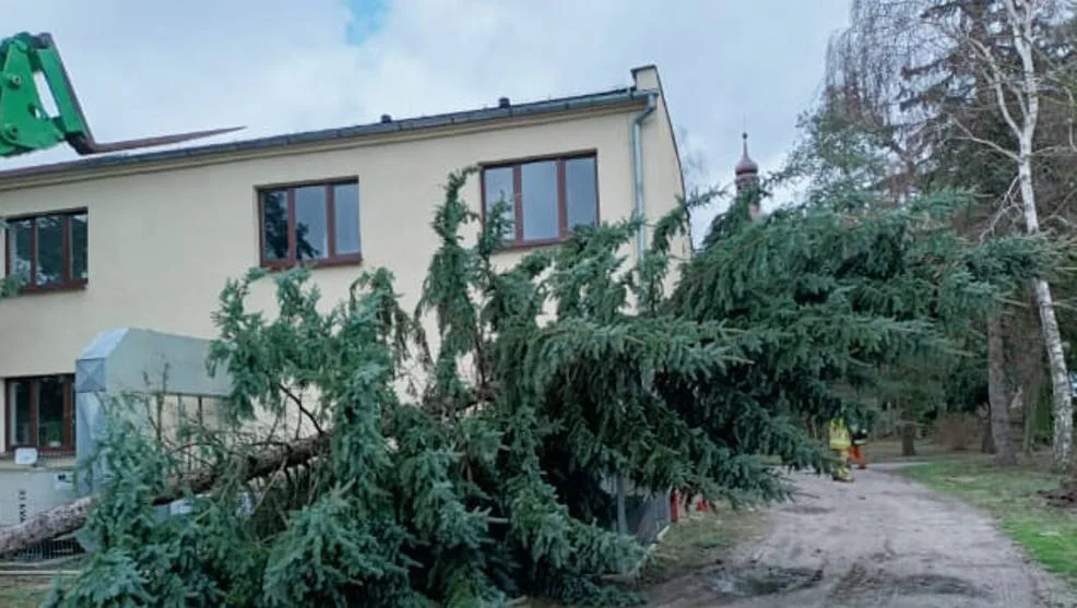 Strażacy w powiecie krotoszyńskim usunęli 26 wiatrołomów i zabezpieczyli 3 dachy