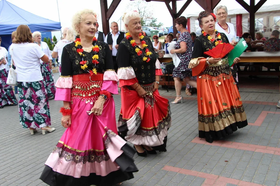 7 zespołów z powiatu krotoszyńskiego na Biesiadzie Seniorów w Strzyżewie [ZDJĘCIA] - Zdjęcie główne