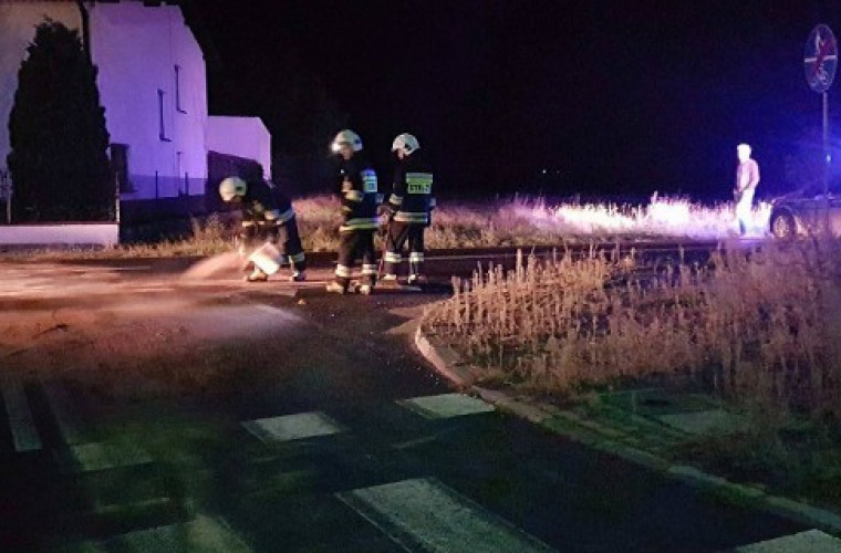 Krotoszyn. Niebezpieczna plama oleju - Zdjęcie główne