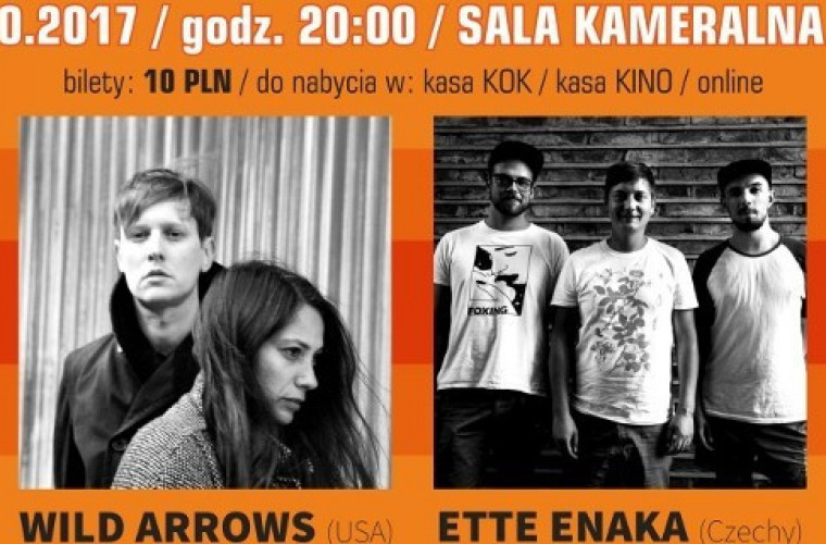 Krotoszyn. Indie Pop Festiwal 2017 - Zdjęcie główne