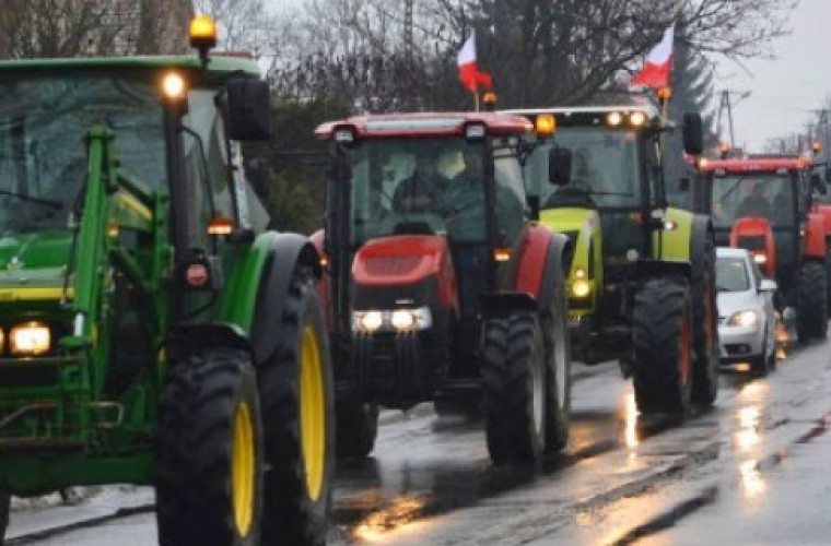 Ile nowych  ciągników kupują rolnicy? - Zdjęcie główne