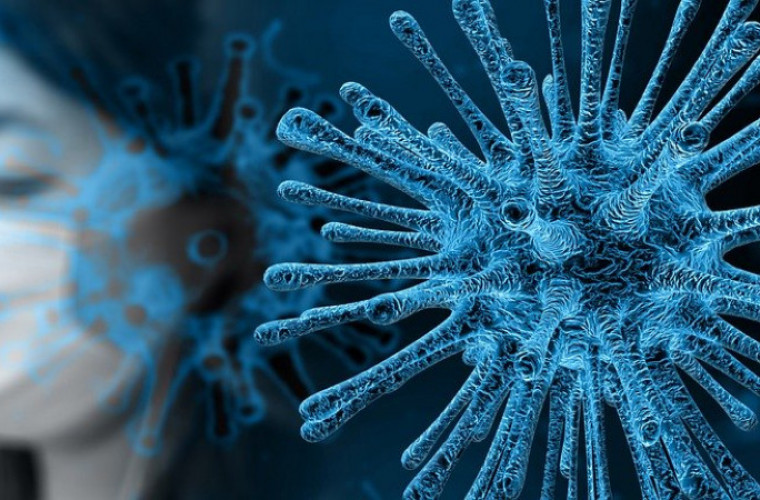 61 nowych przypadków koronawirusa w Wielkopolsce - Zdjęcie główne