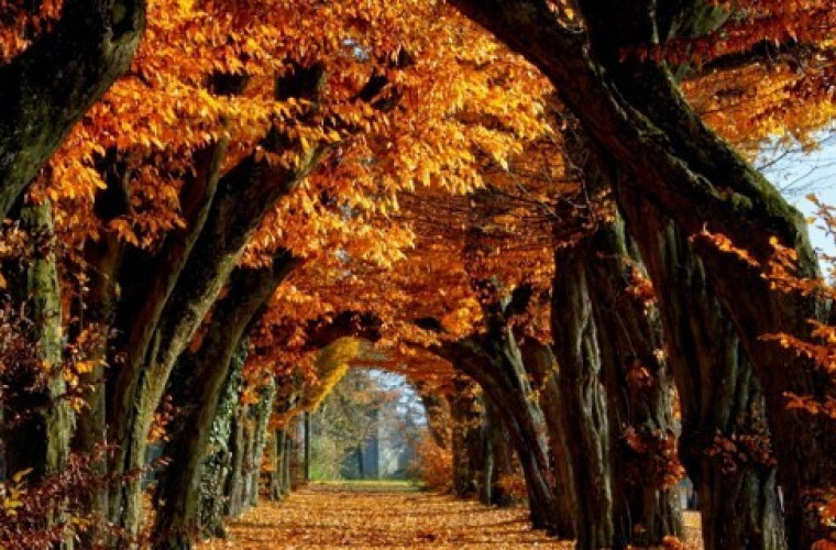 Dziś pierwszy dzień jesieni [ANKIETA] - Zdjęcie główne