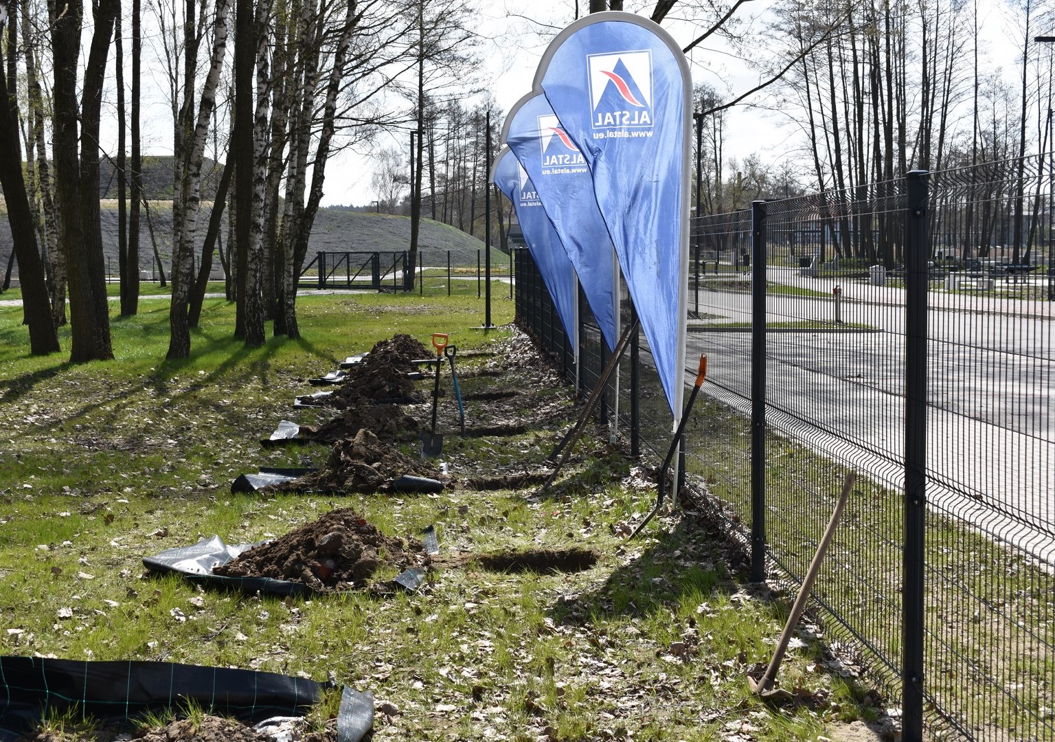 Zasadzili drzewa na Błoniu w Krotoszynie