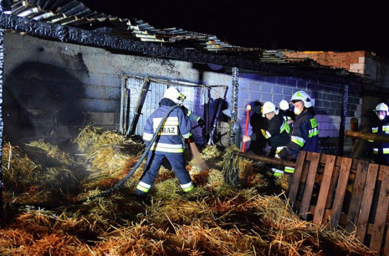 8 zastępów straży gasiło pożar zabudowań gospodarczych w Warsztach [FOTO] - Zdjęcie główne