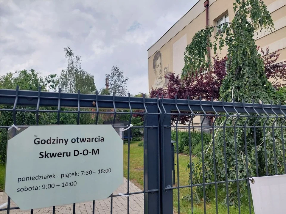 Krotoszyn. Wandale zniszczyli skwer przy bibliotece. Konsekwencje dotkną wszystkich - Zdjęcie główne