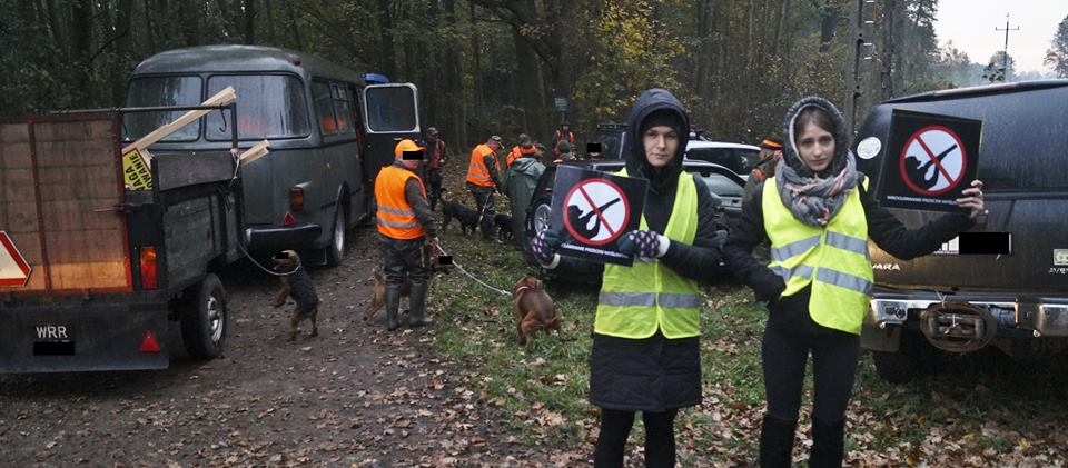 Ekolodzy zablokowali zbiorowe polowanie. Zostali wyproszeni z lasu [FOTO] - Zdjęcie główne