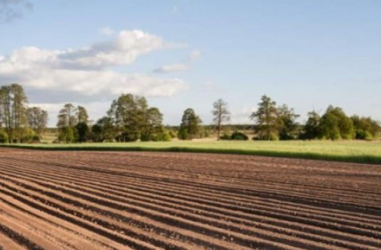 200 tys. ha gruntów do rozdysponowania - Zdjęcie główne