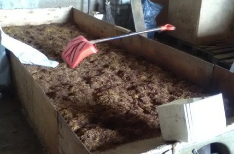 Krotoszyn. CBŚP zabezpieczyło 5 700 kg suszu wartego kilka milionów złotych. - Zdjęcie główne