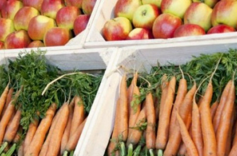 Powstaną nowe targowiska - Zdjęcie główne