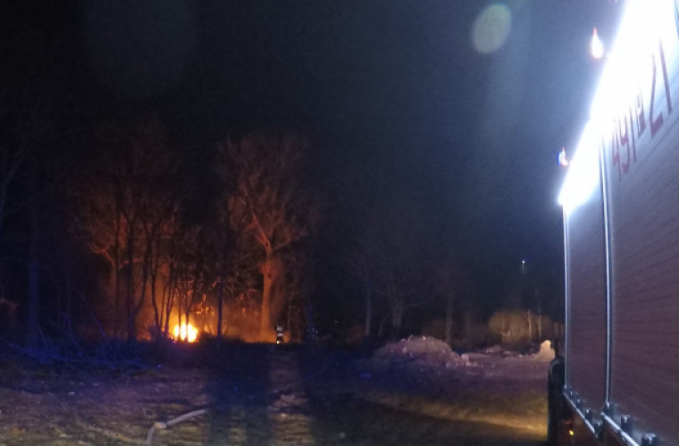 Brzoza. Pożar w zagajniku mógł mieć poważniejsze skutki - Zdjęcie główne