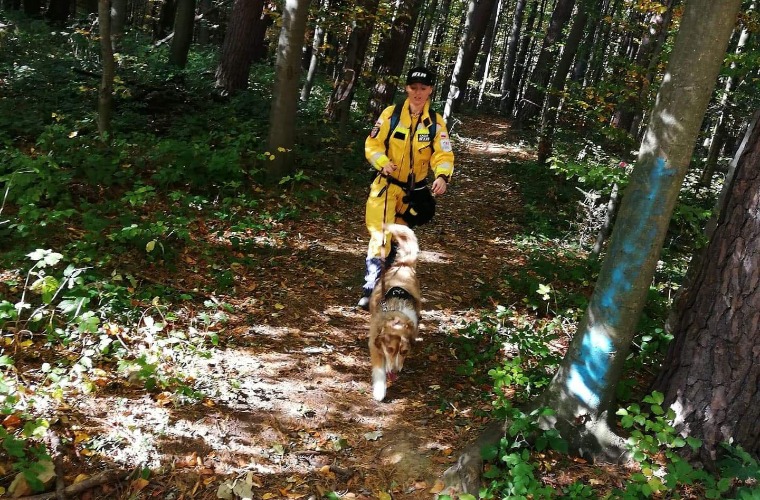 Orest – pierwszy pies ratownik terenowy klasy I w południowej Wielkopolsce - Zdjęcie główne