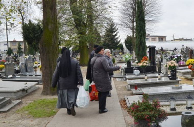 Dzień Wszystkich Świętych [ZDJĘCIA] - Zdjęcie główne