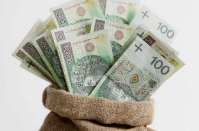 ARiMR: 3,15 mld zł z dopłat już na kontach rolników - Zdjęcie główne