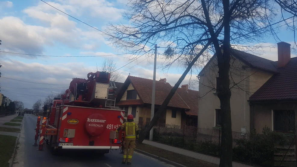 Strażacy w powiecie krotoszyńskim usunęli 26 wiatrołomów i zabezpieczyli 3 dachy