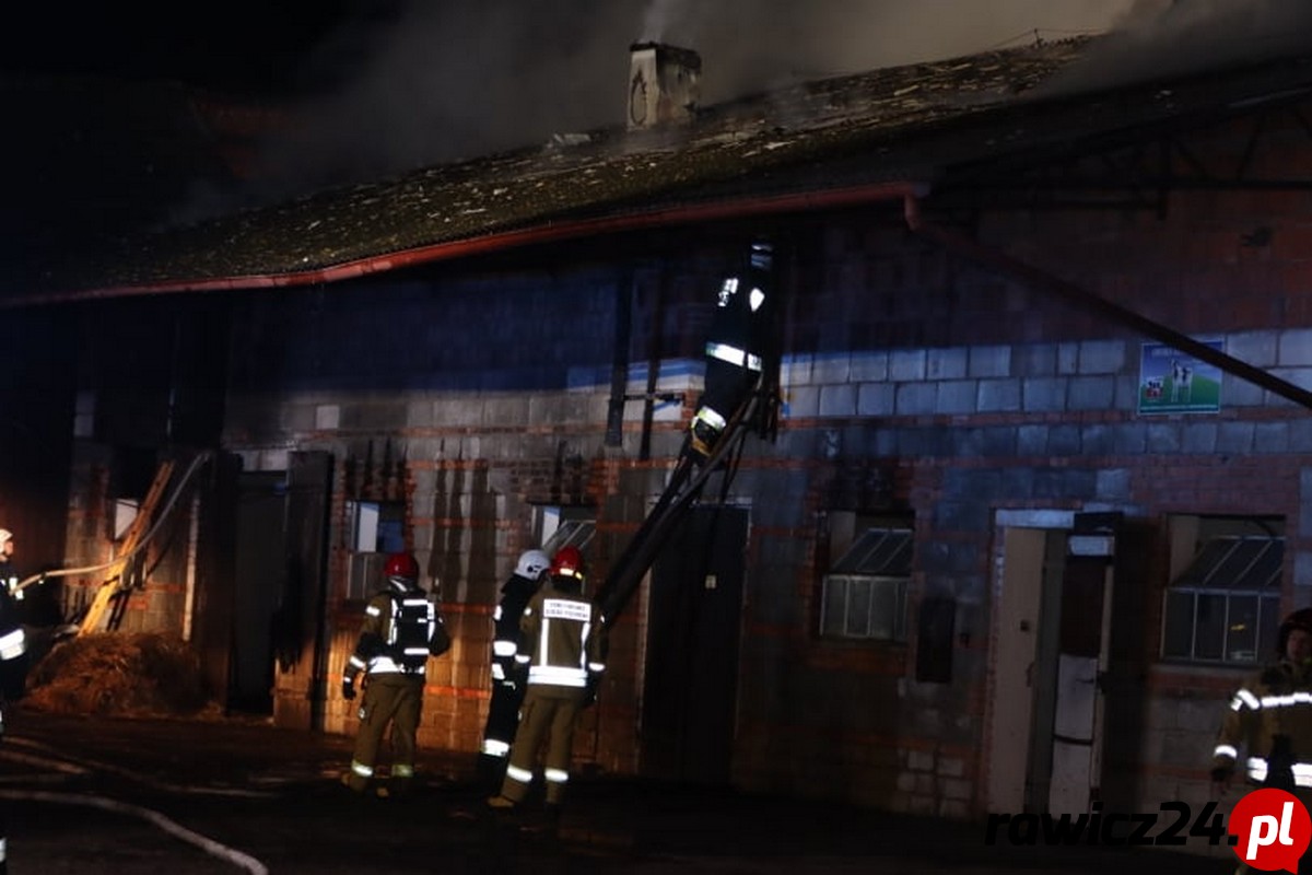 Krotoszyńscy strażacy walczyli z pożarem obory [ZDJĘCIA, FILM] - Zdjęcie główne