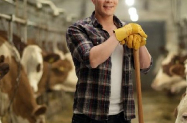 Boże Narodzenie w gospodarstwie. Jak pogodzić pracę ze świętowaniem? - Zdjęcie główne