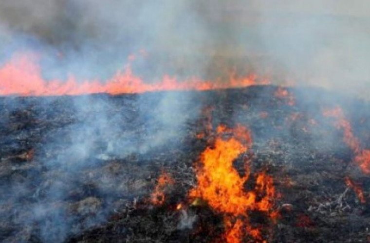 Palisz trawę lub liście na posesji? Zapłacisz 5.000 zł - Zdjęcie główne