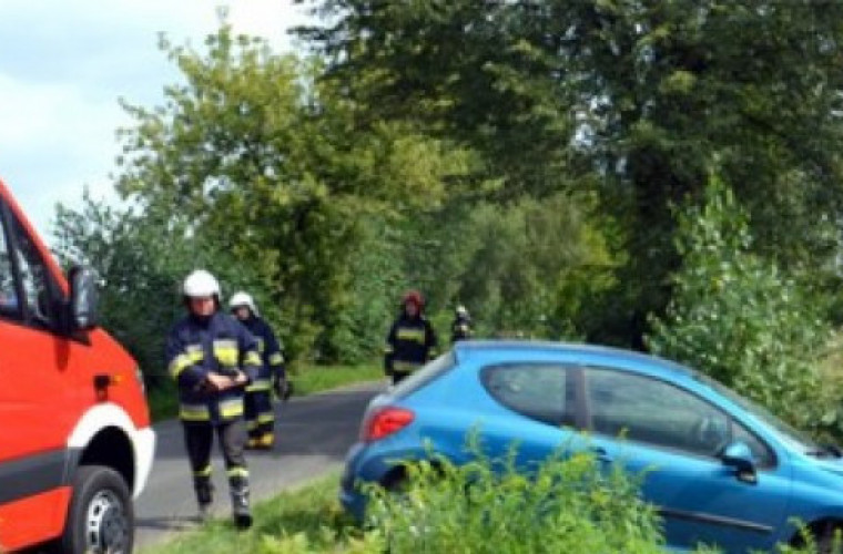 Peugeot 307 w rowie - Zdjęcie główne