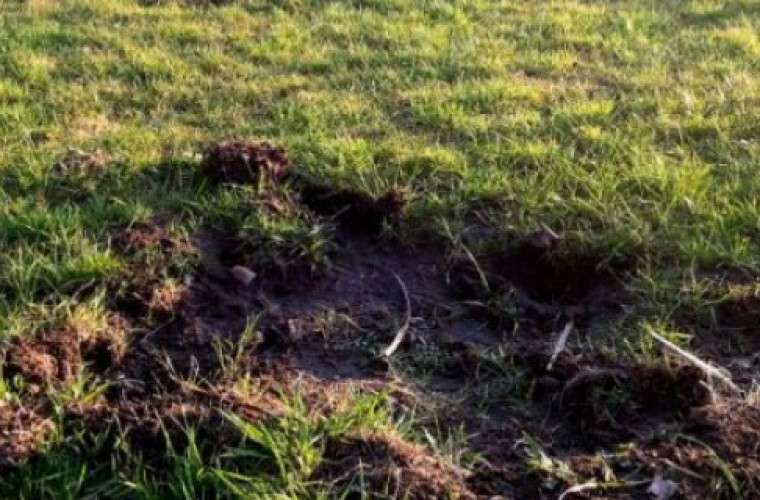 W nowym budżecie nie ma pieniędzy na wypłatę odszkodowań - Zdjęcie główne