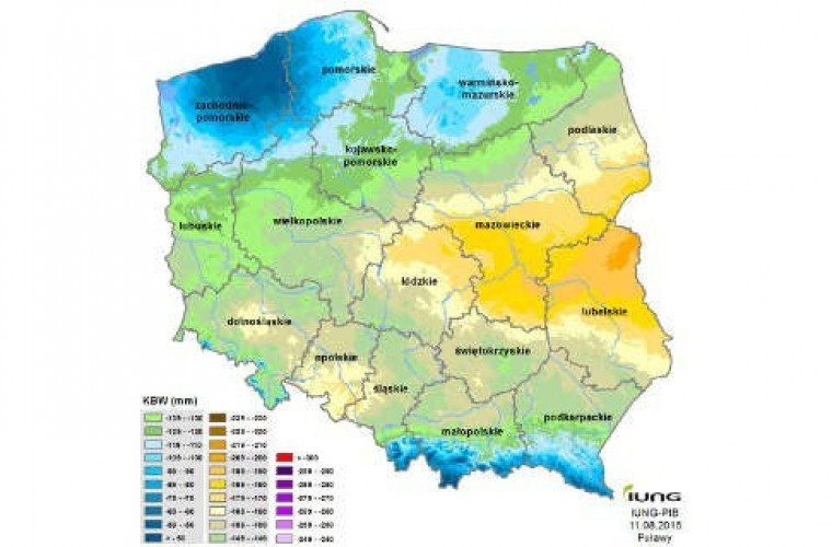 Susza: aby dostać pomoc - złóż wniosek - Zdjęcie główne