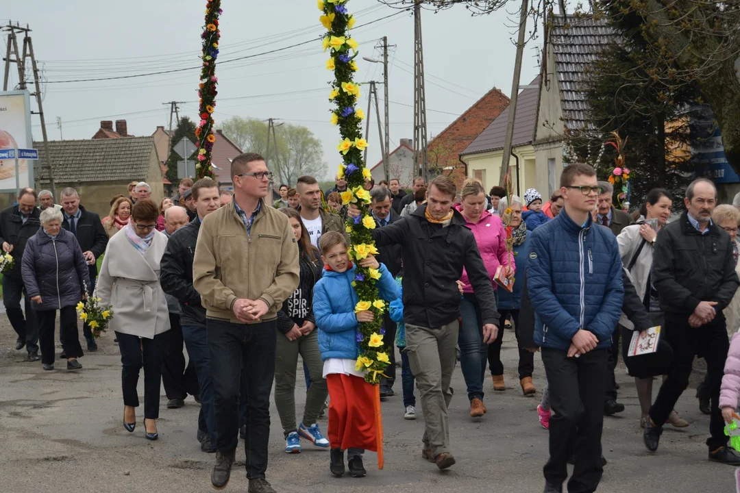 Niedziela Palmowa. Jak jest historia tego święta? [ZDJĘCIA]  - Zdjęcie główne