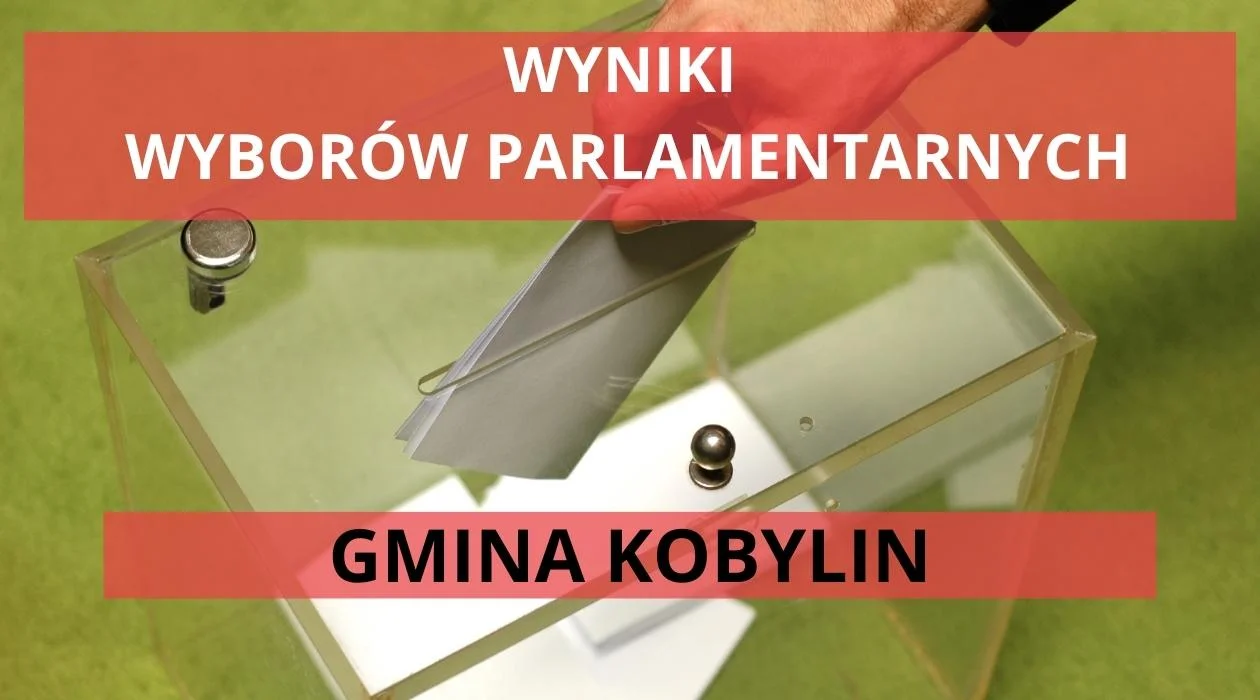 Wyniki wyborów parlamentarnych w gminie Kobylin. Wiemy, na kogo głosowali mieszkańcy - Zdjęcie główne