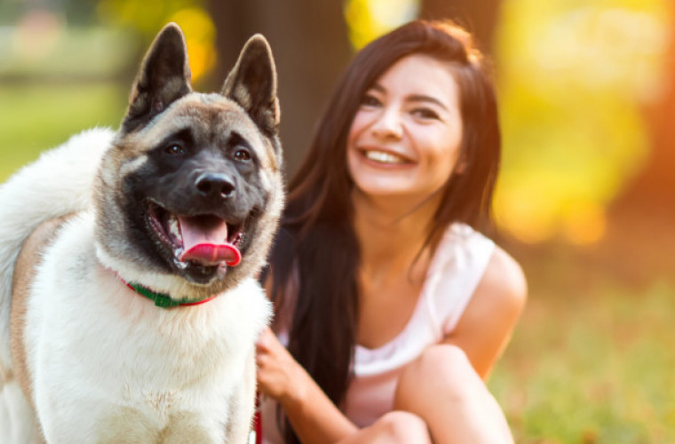 Krotoszyn. Masz psa? Do końca miesiąca musisz zapłacić 60 zł - Zdjęcie główne